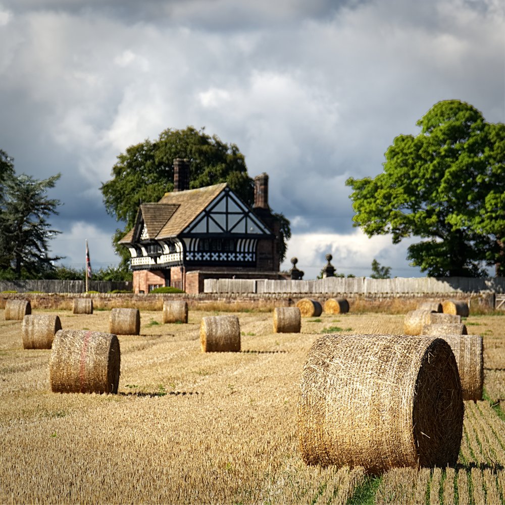 Harvest home (David Bailey, X-T2)